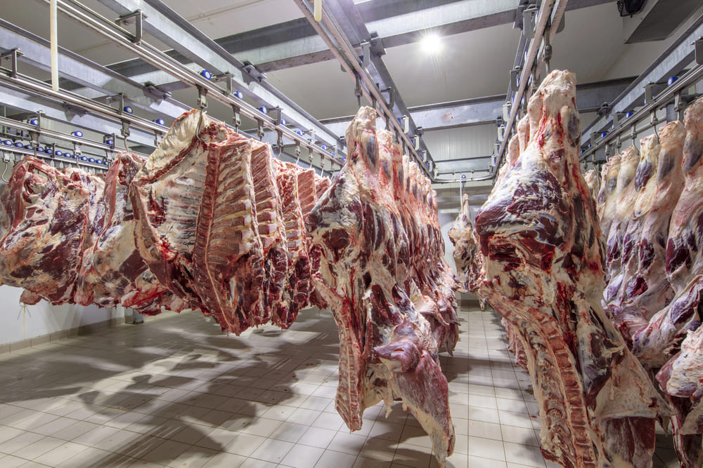 Da produção ao faturamento: Como a automação pode otimizar seu frigorífico