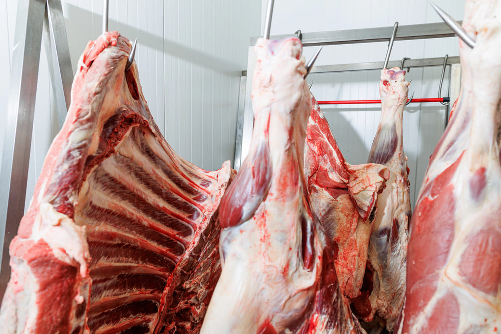 Tecnologia que gera resultado: torne seu frigorífico mais lucrativo e eficiente